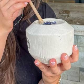 Le Bar - Chez Costa - restaurant SAN-GIULIANO - Bar San Giuliano - Bar Corse - Cocktail San Giuliano - Cocktail Haute Corse - restaurant a faire SAN-GIULIANO